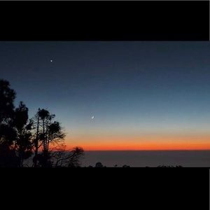 Meet your Posher, Malika